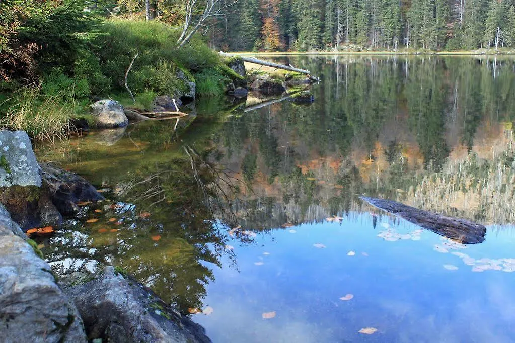 Haus Jaegerfleck, Ihre Ferienwohnungen Am Nationalpark Bayerischer Wald Spiegelau Germany